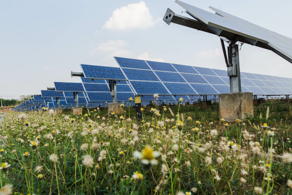 Premier Electrical Renewables